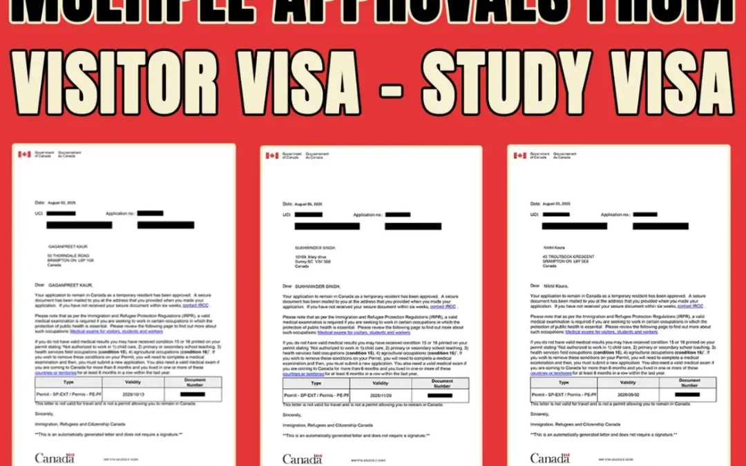 Can I Apply for PGWP With an Expired Study Permit?